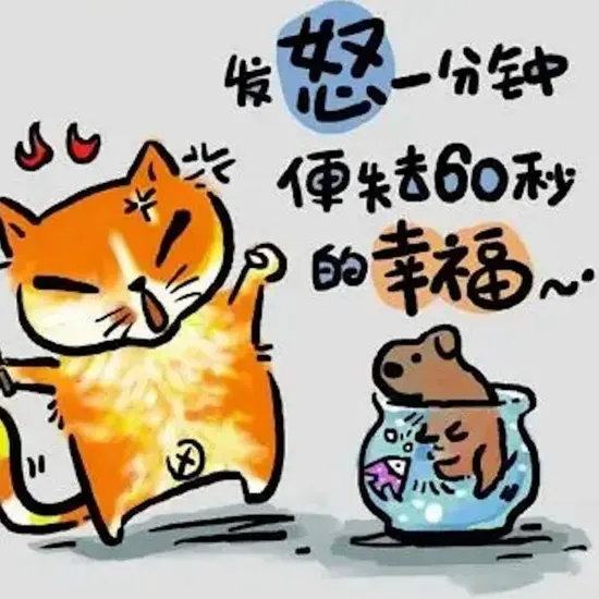 企业网站推广方案